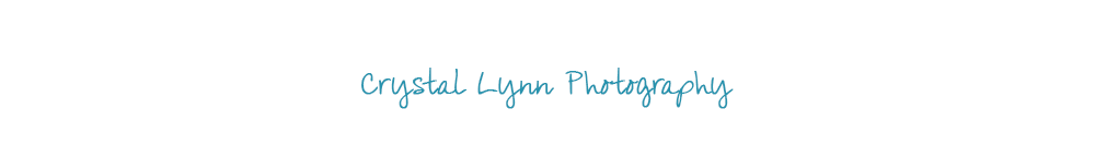 Crystal Lynn Photography